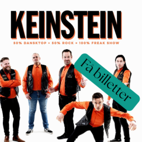 Keinstein på Realen